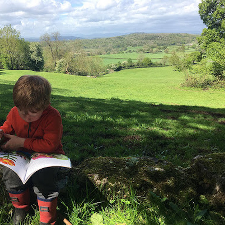 Preschool Child Reading